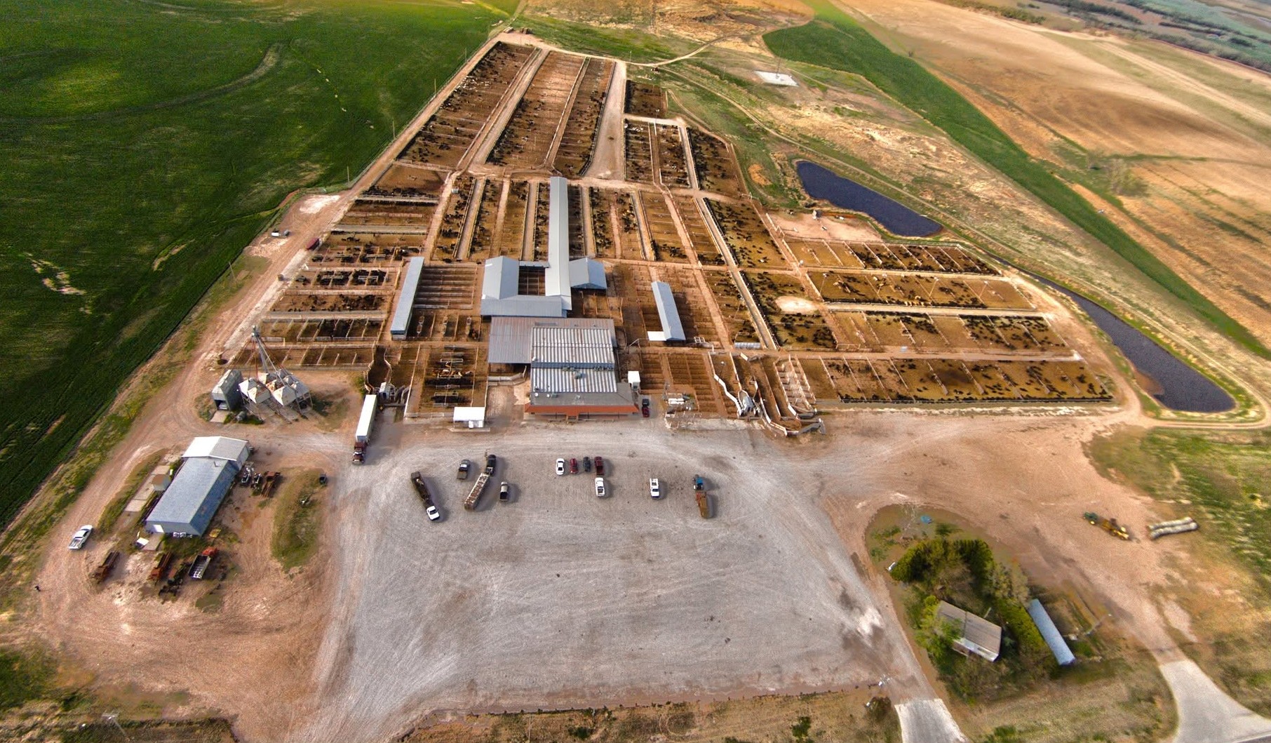 Aerial view of the Pratt Livestock yard complex with cattle pens, sale barn, and grain silos surrounded by Kansas farm fields